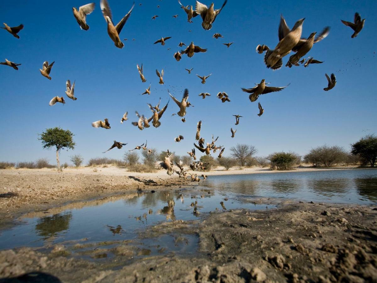 Grassland Safari Lodge Ghanzi Luaran gambar